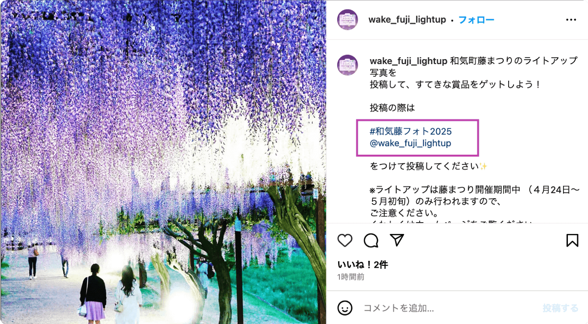 和気町藤まつり ライトアップ Instagram フォトコンテスト 募集期間 2025.4.24 2025.5.31