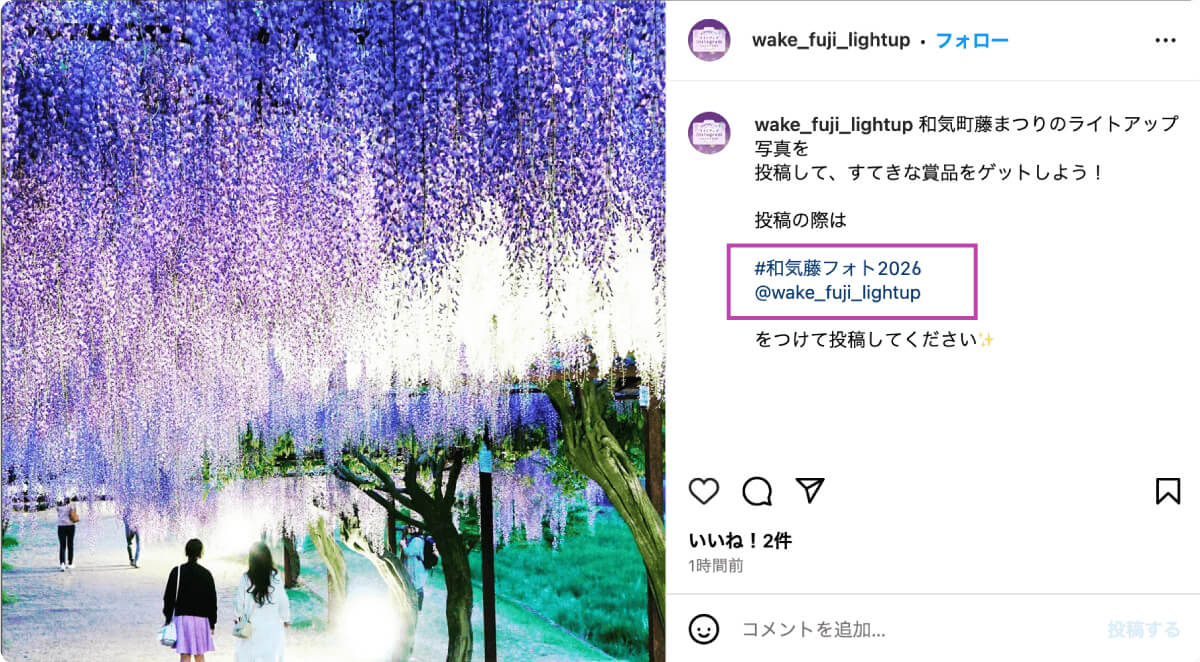 和気町藤まつり ライトアップ Instagram フォトコンテスト 募集期間 2025.4.24  2025.5.31