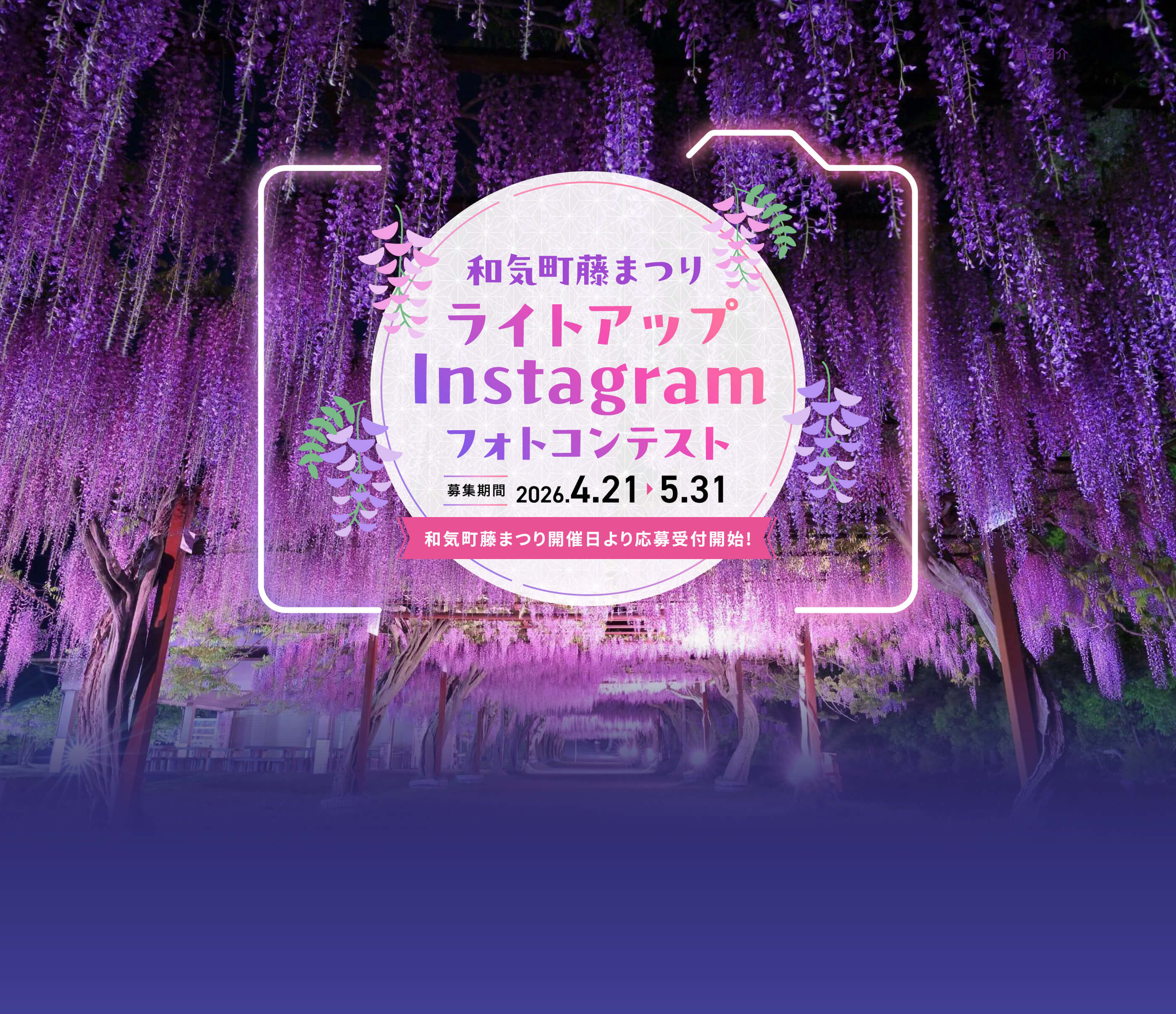 和気町藤まつり ライトアップ Instagram フォトコンテスト 募集期間：2026年4月21日～2026年5月31日